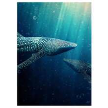 1 Pc Optional Frame Posters Wall Arts Classical Vintage Giant Creatures In The Ocean Canvas Painting Wall Decor Manta Ray Turtle Whale Shark Art Poster Print Picture ﻿