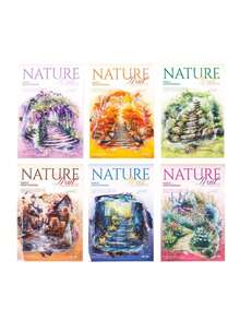 60 张/包自然路径系列 PET 贴纸，森林楼梯主题，学生子弹日记剪贴簿基础材料 6 种款式，涂鸦贴纸，学校用品，返校 - 彩色 - 查看 11