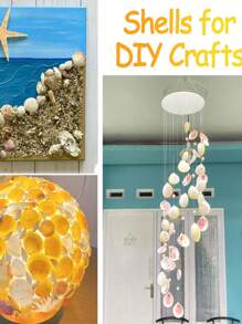 1000g/500g-Natural Shell And Conch Decoration, Natural Sea Scallops, Mixed Starfish And Sea Scallops, Various-Sized Sea Scallop Decoration, Beach-Themed Parties, DIY Handicrafts, Fish Tank Filling, Home Decoration, Wedding Decoration