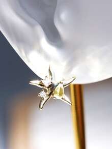 女士水滴锆石星形耳环，不锈钢金耳环，女士耳环，送给朋友的最佳礼物