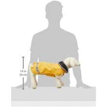 Pet Costumes