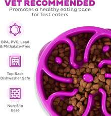 Outward Hound Fun Feeder Slo Bowl, Slow Feeder Dog Bowl, Medium/Mini, Turquoise - Purple - View 3