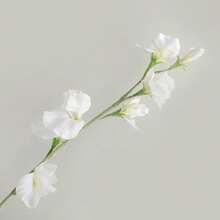 Set de 5 piezas/3 piezas/1 pieza Arreglo de flores artificiales, pieza central decorativa con flor de guisante artificial vibrante con toque realista, corona DIY para boda y fiesta, decoración floral para el regreso a clases