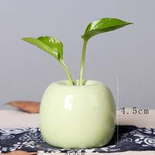 Mini Ceramic Round Flower Vase, Fresh And Stylish Floral Container, Hydroponics Vase Decor For Home, Living Room Flower Arrangement - Multicolor - View 3