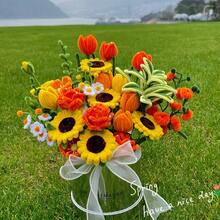 100 件多色雪尼尔管道清洁器，适用于手工艺和 DIY 项目，双色可选扭绳清洁器套件，管道清洁器花套装