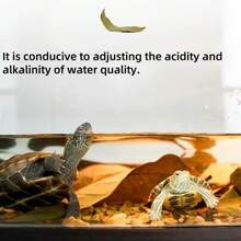 30/40pcs Turtle Lizard Aquarium Dragon Eye Leaves, Fish Tank Plant For Water Quality PH Regulation, Prevent Turtle Skin Rot, Provide Hiding Place