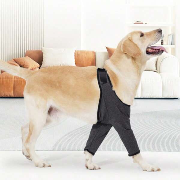 Pet Front Leg Joint Brace, Dog Knee Splint For Fracture And Disabilities, Post-Op Protection For Medium/Small Dogs