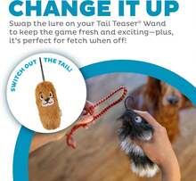 Outward Hound Tail Teaser Replacement Lure For Dog Teaser Wand, Black