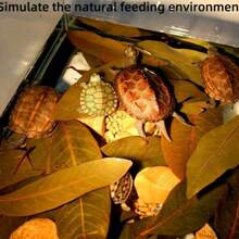 30/40pcs Turtle Lizard Aquarium Dragon Eye Leaves, Fish Tank Plant For Water Quality PH Regulation, Prevent Turtle Skin Rot, Provide Hiding Place