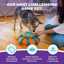 Outward Hound By Nina Ottosson Dog Smart Treat Puzzle Enrichment Toy, Level 1 Beginner, Orange - Tháp đồ ăn (Cam, Xanh) - Xem 2