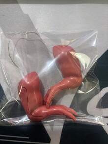 1pc Funny Prank Realistic Dinosaur Chicken Arm Toy, Novelty Gag Prop For Decoration, Pet Photo Shoot, Halloween, Unique Gift - Integrated - View 7