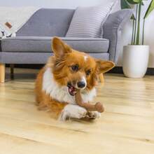 Outward Hound Dogwood Wood Durable Dog Chew Toys, Real Wood &Amp; Calming , 2-Pack, Medium - Dogwood Jack - 查看 2