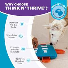 Outward Hound By Nina Ottosson Dog Smart Treat Puzzle Enrichment Toy, Level 1 Beginner, Orange - Dog Casino (Blue, Orange) - View 6