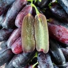200 Pieces Finger Grape Seeds For Cultivation - Grape Fruit Seeds Heirloom Outdoor Fruit Plants - 200 - 查看 5