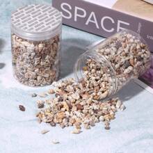 1 pieza/30g-60g Pequeña mezcla de conchas marinas naturales, adecuadas para decoración del hogar, decoración de sobremesa, acuario y fondo de terrario, reemplazo de concha para cangrejos ermitaños