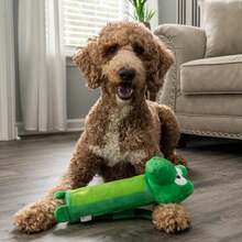 Outward Hound Bottle Bros Alligator Durable Cracking, Crinkling, Squeaking Dog Toy, Green, Medium - Alligator - 查看 6