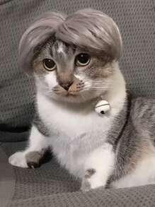 1pc Pet Cat/Dog Wig, Curly Or Straight, Halloween Pet Accessories