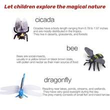 24pcs Realistic PVC Insect Model Toys, Simulation Archaeologic Digging Joke Soft Rubber Animal Butterfly Bee Specimen Decoration Stress Relief Toys