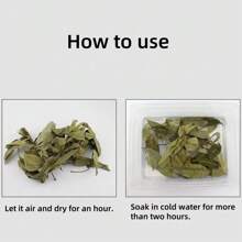 30/40pcs Turtle Lizard Aquarium Dragon Eye Leaves, Fish Tank Plant For Water Quality PH Regulation, Prevent Turtle Skin Rot, Provide Hiding Place