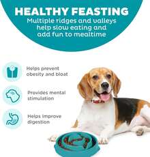 Outward Hound Fun Feeder Slo Bowl, Slow Feeder Dog Bowl, Medium/Mini, Turquoise - 綠松石 - 查看 2