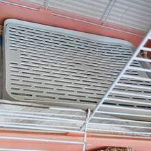 1 件网格设计豚鼠猫砂盆，兔子训练笼带马桶托盘，适合老鼠、雪貂、兔子等中小型动物