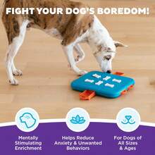 Outward Hound By Nina Ottosson Dog Smart Treat Puzzle Enrichment Toy, Level 1 Beginner, Orange - Dog Casino (Blue, Orange) - View 2