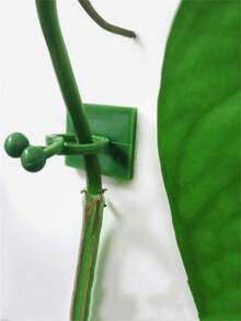 50pcs Plant Wall Clips For Climbing Plants Wall Clips Green Tree Climbing Wall Tool Fixing Vine Fixing Clamp Climbing Hook Green Buckle Ring Traceless Green Plant Fixing Device