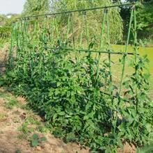 10 piezas Soporte de jardín estable y fácil de montar, marco de valla reforzado para pepinos, jaula para plantas de tomates, utilizado para plantas trepadoras y hortalizas de jardín.