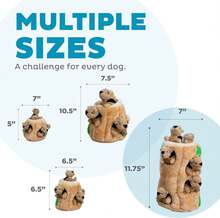 Outward Hound Hide A Birthday Cake, Plush Puzzle Birthday Themed Dog Toy - 松鼠 - 查看 5