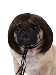 1pc Pet Cat/Dog Wig, Curly Or Straight, Halloween Pet Accessories