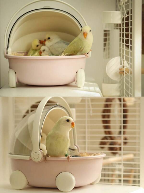 Fun Pet Stroller Parrot Sleeping Cabin, Small Pet Outdoor Portable Cage, Semi Enclosed And Comfortable Nest Box, No Need To Install Pet Nest, Portable And Easy To Clean For Bird Pet Go Out, Travel, Suitable For Parrots/Hamsters/Ferlets/Hamsters/Guinea Pigs