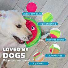 Outward Hound Tough Skinz Durable Squeaky Dog Toy With Two Tough Layers, Cherries, Red, Small