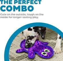 Outward Hound Durablez Stuffing-Free Squeaky Interactive Dog Toy, Tough Plush, Gecko, Green, Large