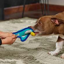 Outward Hound Durablez Minis Stuffing-Free Squeaky Interactive Dog Toy, Tough Plush, Penguin, Blue, XS - Blue Penguin - 查看 5