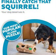 Outward Hound Hide A Birthday Cake, Plush Puzzle Birthday Themed Dog Toy - 松鼠 - 查看 2