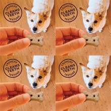 Old Mother Hubbard Wellness P-Nuttier 'N Nanners Dog Biscuits, Natural, Training Treats, Peanut Butter &Amp; Banana Flavor, Mini Size, (16 Ounce Bag) - Chicken Pot Pie Mini - 查看 5