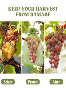 50 Pcs Fruit Protection Bags, 6x9 Inch Green Net Drawstring Fruit Protection Bags, Insect Proof Mesh For Tomato, Mango Tree, Vegetable Garden - Green - View 7