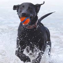 Bola de silicone durável para mastigar, 1 peça - brinquedo interativo para cães de médio porte, limpeza dos dentes e diversão na hora de brincar, suprimentos para cães - Laranja - Ver 5
