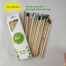 PLANT FUN HB Unsharpened Graphite Plantable Wooden Pencils,Growing Flower Fruits Pencil Gift For Teachers, Creative Gift For Kids - Black - View 19