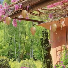 1pc&3pcs Wasp Nest Trap,Hanging Wasp Deterrent, Wasps Yellow Jackets Decoy Nest,Simulated Deterrent Hanging Territorial Insect Protection Scare - 1Pc - View 7