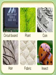 1 szt. Dziecięcy przenośny mikroskop, 5,66 cala x 3,15 cala, miniaturowy kieszonkowy cyfrowy mikroskop dla dzieci i dorosłych, ekran IPS elektroniczna lupa z 8 regulowanymi światłami LED oraz funkcją zdjęć i wideo, kieszonkowy mikroskop dla dzieci, materiał ABS