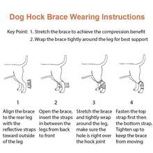 Dog Leg Reflective Knee Protector Sleeve, Knee Joint Support Brace For Dogs - Multicolor - View 10