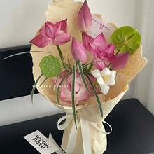 Pre-Sprouted Colorful Bonsai Lotus - Ready To Plant, Suitable For Indoor And Outdoor Water Gardens, Comes With Planting Guide, Easy To Grow With Minimal Care - 99999 - View 4