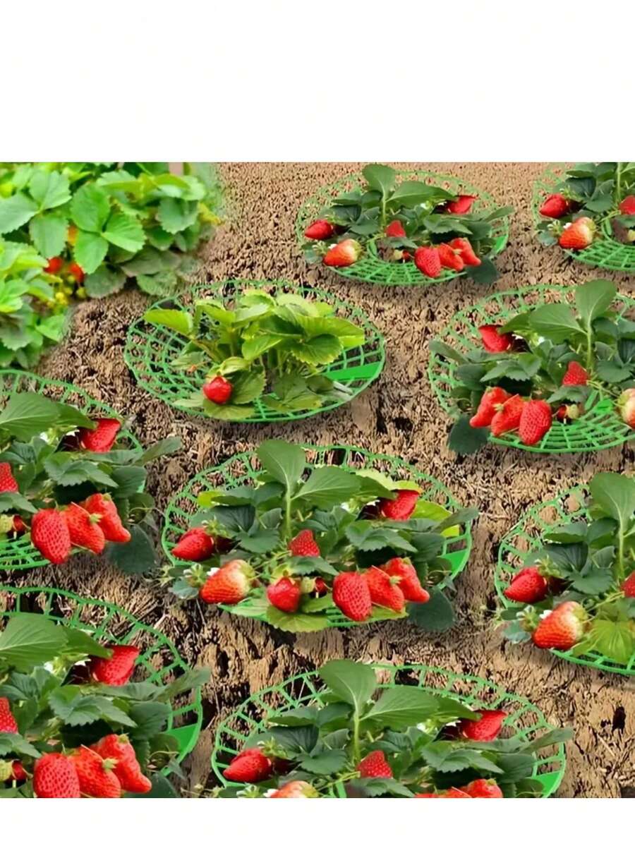 10 件装绿色草莓种植架,带 3 个坚固支脚 - PVC 植物支撑笼,耐腐蚀,理想的种植辅助工具 - 彩色 - 查看 1