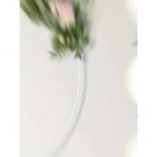 7.2 英尺婚礼拱门圆形背景架圣诞金属圆形气球拱门金属框架圆形拱门架适用于仪式生日派对圣诞节感恩节气球淋浴装饰，白色/金色/黑色，最适合圣诞节，非常适合感恩节夏季礼物海滩返校学校用品房间装饰 - 金黃的顏色 - 查看 6
