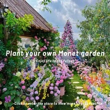 60 Lotus Seeds Bonsai Lotus Seeds, Larger Quantity Than Other Products, Suitable For Indoor And Outdoor Aquariums, Home Garden Planting Seeds, Germinating Aquatic Bonsai Plants, Easy To Cultivate, Requires Minimal Care