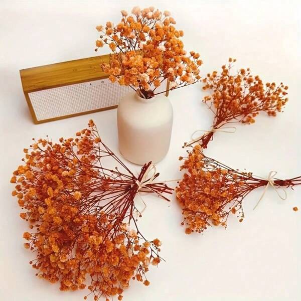 4 pezzi/6 pezzi Mini profumo di fiori, profumo di fiori di crespino, profumo di fiori secchi, fiori perenni, fiori di riempimento, materiale per fai da te, decorazione, esposizione
