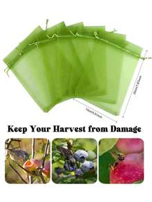 50 Pcs Fruit Protection Bags, 6x9 Inch Green Net Drawstring Fruit Protection Bags, Insect Proof Mesh For Tomato, Mango Tree, Vegetable Garden - Green - View 2
