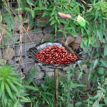 1pc Iron Butterfly Shaped Outdoor Bird Feeder, Suitable For Courtyards, Gardens, And Lawns, Easy Installation
