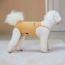 Couches pour animaux de compagnie réglables, pantalons physiologiques pour petits chiens anti-harcèlement, convenant aux Bull Terriers